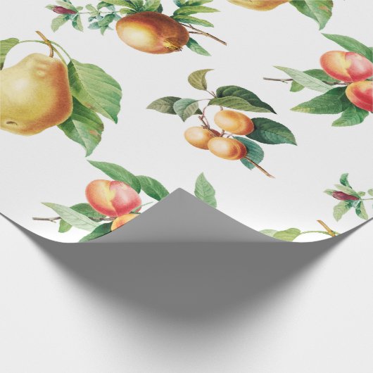 Obst Geschenkpapier (Ecke)