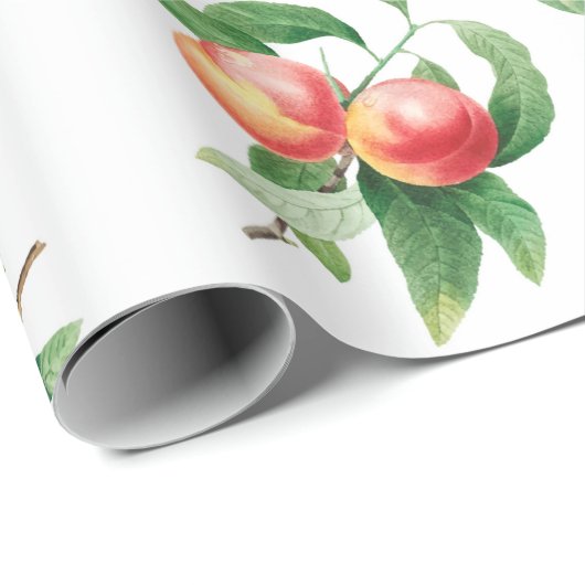 Obst Geschenkpapier (Rolleneckpunkt)