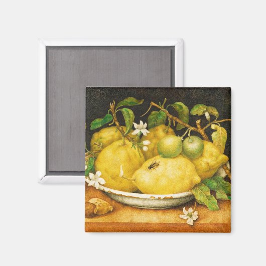 OBST. LEMONS UND WEISSE BLUME MAGNET (Vorderseite/Rückseite)