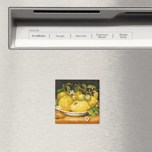 OBST. LEMONS UND WEISSE BLUME MAGNET (In Situ (Geschirrspüler))