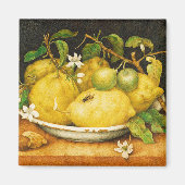 OBST. LEMONS UND WEISSE BLUME MAGNET (Vorne)