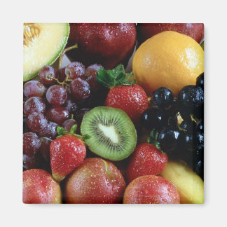 OBST MAGNET