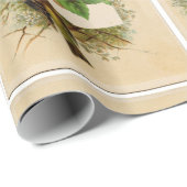 OBST/NATUR DER SAISON, VÖGEL UND RASPBERRIEN GESCHENKPAPIER (Rolleneckpunkt)