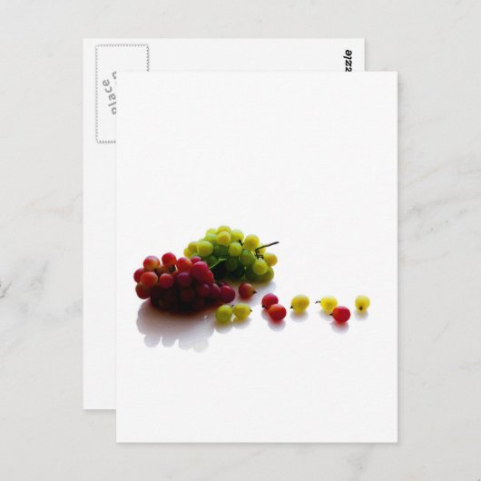 Obst Postkarte (Vorne/Hinten)