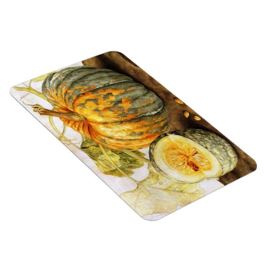OBST/PUMPKINS DER SAISON MAGNET (Rechte Seite)