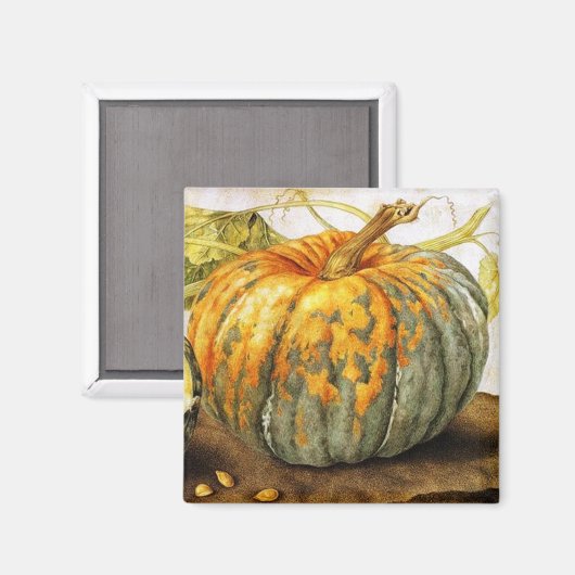 OBST/PUMPKINS DER SAISON MAGNET (Vorderseite/Rückseite)