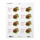 OBST/RASPBERRIES DER SAISON (Vorne)