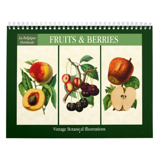 Obst und Beeren Vintag Botanisch 2026 Kalender (Titelbild)