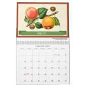 Obst und Beeren Vintag Botanisch 2026 Kalender (Jan 2027)