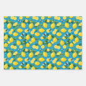 Obst und Bienen Wassermelonen Zitronen und Rasberr Geschenkpapier Set (Vorderseite 2)