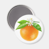 Obst und Blume Magnet (Vorderseite/Rückseite)