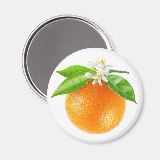 Obst und Blume Magnet (Vorderseite/Rückseite)