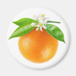 Obst und Blume Magnet