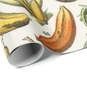 Obst und Gemüse Geschenkpapier (Rolleneckpunkt)