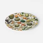 Obst und Gemüse Pappteller (Schrägansicht)