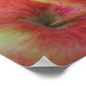 Obst und Gemüse Poster (Ecke)