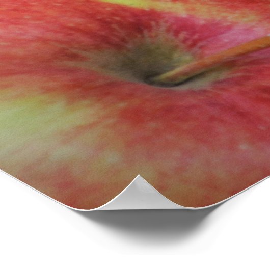 Obst und Gemüse Poster (Ecke)