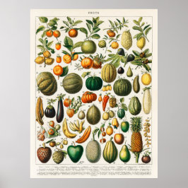 Obst und Gemüse Poster