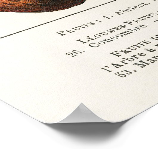 Obst und Gemüse Poster (Ecke)