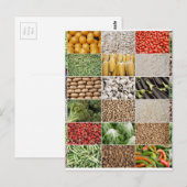 Obst und Gemüse Postkarte (Vorne/Hinten)