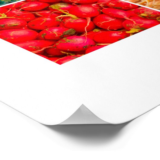 Obst und Gemüse Sammelplakat Poster (Ecke)