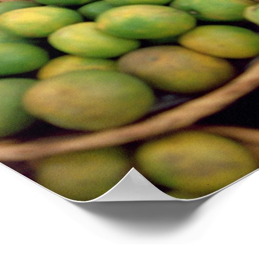 Obst- und Gemüsehalle Poster (Ecke)