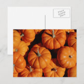 Obst und Lebensmittel Postkarte 17 (Vorne/Hinten)