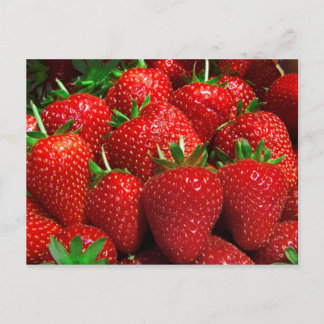 Obst und Lebensmittel Postkarte 3