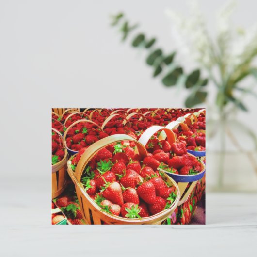 Obst und Lebensmittel Postkarte 4 (Stehend Vorderseite)