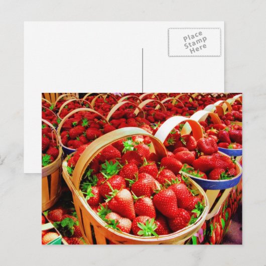 Obst und Lebensmittel Postkarte 4 (Vorne/Hinten)