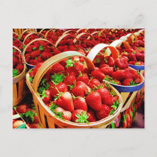 Obst und Lebensmittel Postkarte 4 (Vorderseite)