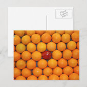 Obst und Lebensmittel Postkarte 7 (Vorne/Hinten)