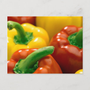 Obst und Lebensmittel Postkarte 74