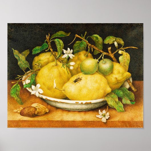 OBST UND WEISSE BLUME DER SAISON POSTER (Vorne)