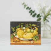 OBST UND WEISSE BLUME DER SAISON POSTKARTE (Stehend Vorderseite)