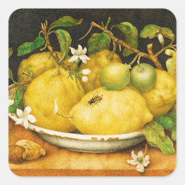 OBST UND WEISSE BLUME DER SAISON QUADRATISCHER AUFKLEBER