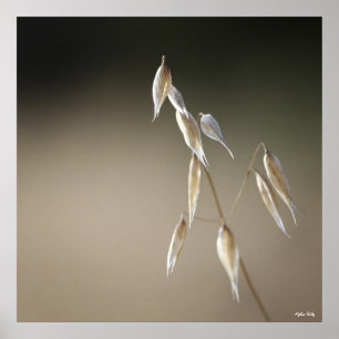 Obst und Wild Hafer Poster