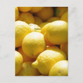 Obst: Zitronen Postkarte (Vorderseite)