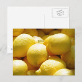Obst: Zitronen Postkarte (Vorne/Hinten)