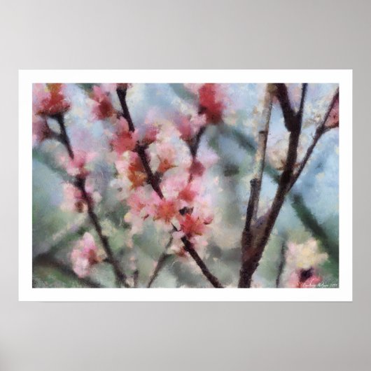 Obstbaum-Blüten-Grafik-Plakat Poster (Vorne)