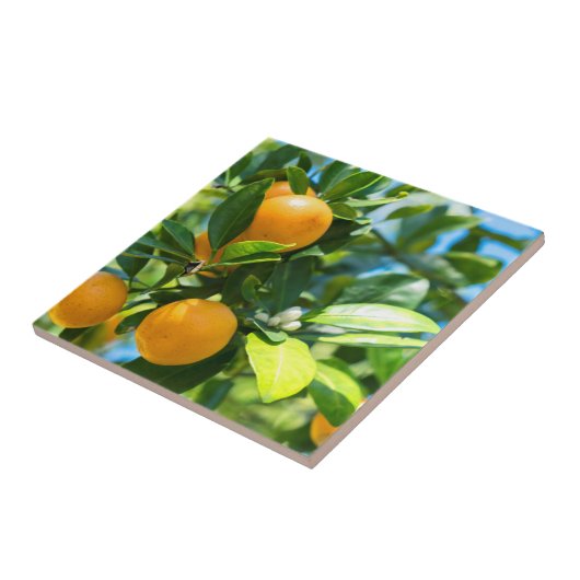 Obstbaum Fliese (Seite)