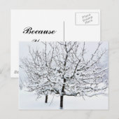 Obstbaum im Winter Bekleidung Postkarte (Vorne/Hinten)