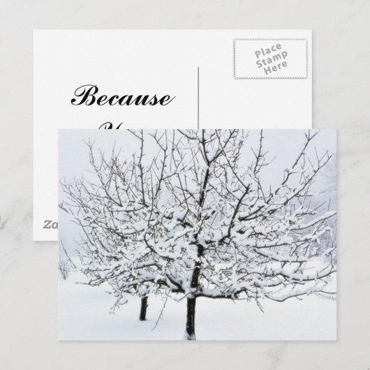 Obstbaum im Winter Bekleidung Postkarte (Vorne/Hinten)
