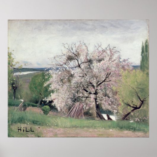 Obstbaum in Blossom, Bois-le-Roi Poster (Vorne)