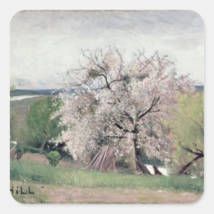 Obstbaum in Blossom, Bois-le-Roi Quadratischer Aufkleber