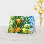 Obstbaum Karte (Gelbe Blume)