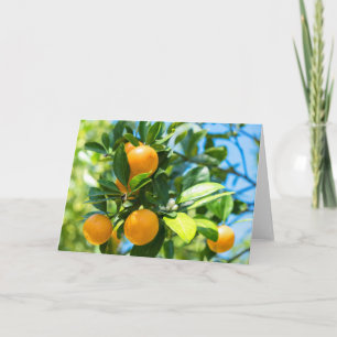 Obstbaum Karte