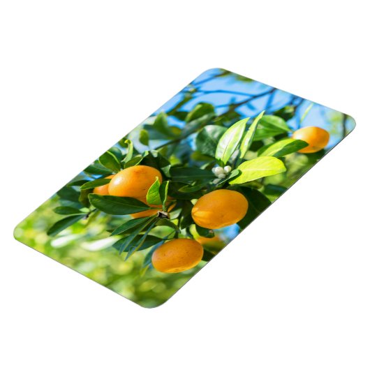 Obstbaum Magnet (Linke Seite)