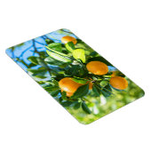 Obstbaum Magnet (Rechte Seite)