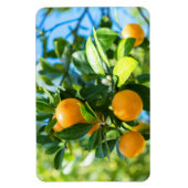 Obstbaum Magnet (Vertikal)